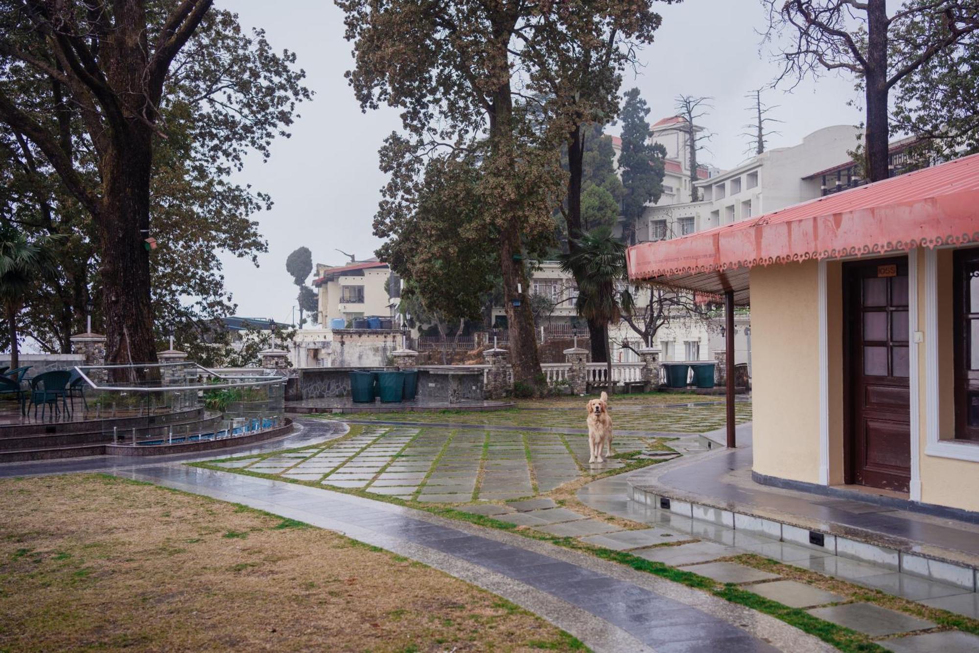 Bliss & Company By Hnh Hotel Mussoorie Luaran gambar